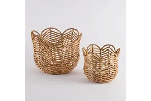 2-溴-4-噻唑乙酸