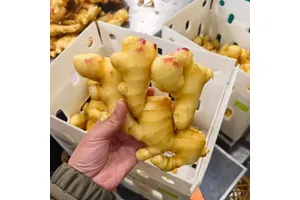 溴乙酸乙酯