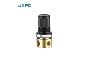 生菜原生质体制备与转化试剂盒（20 mL/T）