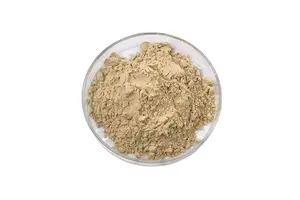 Recombinant IL-2 Receptor alpha/CD25 Antibody (AF594)
