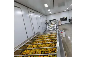 4-碘-5-甲基-3-氨基吡唑