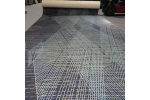 1027930-57-9