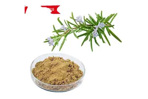 Methyl 4-iodo-1,2-thiazole-3-carboxylate