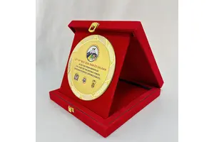 羧基化单壁碳纳米管