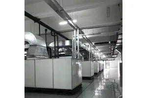 Continuous Carbonless Paper for Dot Matrix Printer Blue Computer Printing Paper