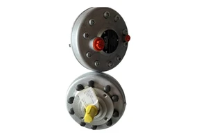 Amberlite® IRC-748