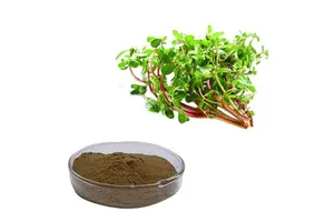 New Product Explosion Cotton Paper Money Security Thread Blank Paper for Certificate Diploma Printed Watermark Paper