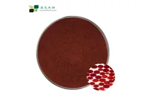 N,N′-Dicyclohexylcarbodiimide