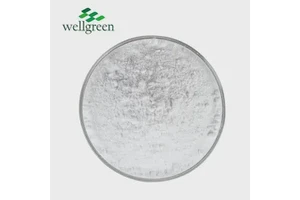 Wholesale 33g 50g 60g Anti-Curl Recyclable Double-Sided Heat Transfer Sublimation Paper T-shirt Printing Specialty Paper