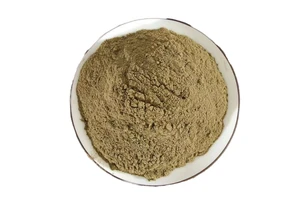 Secretory Immunoglobulin A (SigA) from Human Colostrum
