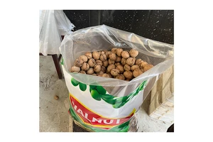 News Import Regulations for Small Batch Trials: Field-Tested 2026 Guide No.94