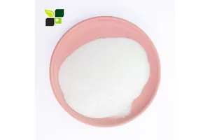 Adhesives & Sealants Factory Comparison for Bulk Purchasing: Professional 2027 Guide No.412