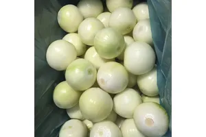 2-羟基萘-1-羧酸甲酯