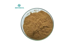 TERT-BUTYL 4-(2-AMINOPHENOXY)TETRAHYDRO-1(2H)-PYRIDINECARBOXYLATE