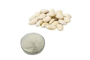 泛素激活酶UBE1（人重组）