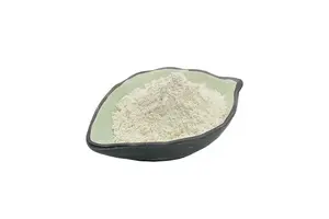 Recombinant CD31 Antibody (PE-Cy7)