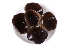 指南针a股强哥直播入口