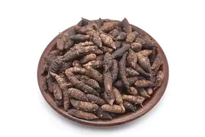 4,5-二氢-2-(6-羟基-2-苯并噻唑)-4-噻唑羧酸