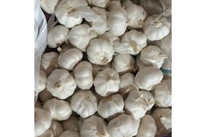 甲基丙烯酸异丁酯
