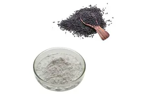 2，2'，6，6'-Tetramethyl-4，4'-bipyridine