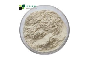 High Quality Blue Image Self-copied Carbonless Paper