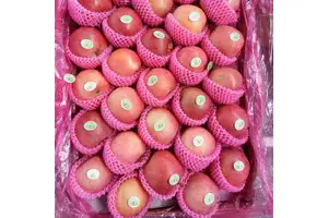 Tablet Sun Protection Skin Beauty Vitamin B Vitamin C Capsules