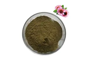 tert-butyl4-(7-(2-(cyclopropylmethoxy)-6-((4-methoxybenzyl)oxy)phenyl)-2-oxo-2,4-dihydro-1H-pyrido[2,3-d][1,3]oxazin-5-yl)piperidine-1-carboxylate
