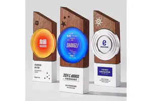 对叔丁基苯酚(PTBP)