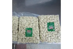 6-乙酰氧基-2,2-双(4-甲氧基苯基)-2H-萘并[1,2-B]吡喃-5-羧酸甲酯