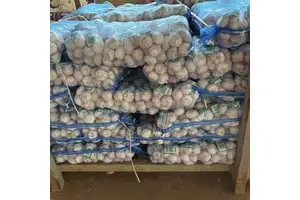 (4-Hydroxypiperidin-1-yl)acetic acid