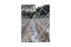 Anti-fog Clear Flat Panel Polycarbonate Solid Pc Sheet