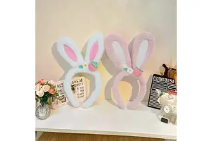 DH5α 感受态细胞