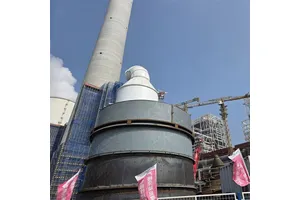 N-甲基莲叶桐文碱
