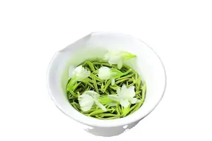 二氢乌本(箭毒)苷