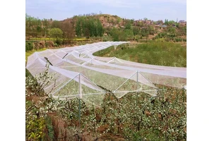 (2,3-二油酰基-丙基)-三甲胺（氯盐）DOTAP