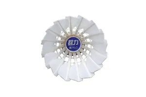 Methyl 2,3-dimethoxy-5-nitrobenzoate