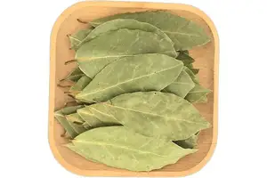 (1H-1,2,4-三唑-3-基)甲胺盐酸盐