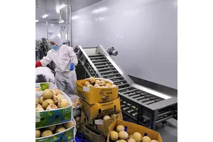 Commercial Equipment & Machinery Sustainability for Start-Up Brands: Straightforward 2027 Guide No.495