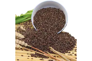 Plastic Raw Materials Material Selection for Start-Up Brands: Detailed 2025 Guide No.496
