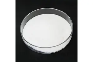 N,N′-Dicyclohexylcarbodiimide