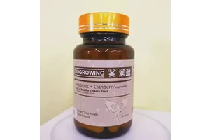 5-溴-2-乙氧基异烟酸