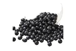 tert-Butyl 2-(3-oxopiperazin-1-yl)acetate