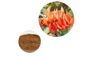 2,3,3A,4,5,6-HEXAHYDRO-8-METHYL-1H-PYRAZINO[3,2,1-J,K]CARBAZOLE MESYLATE