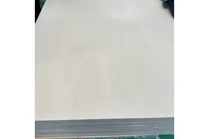 DMEM 培养基 (高糖）