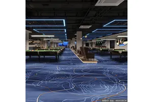 9,9,10,10-四甲基-9,10-二氢蒽