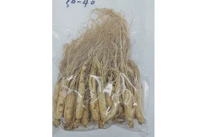 m-PEG3-4-nitrophenyl carbonate