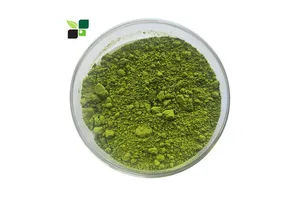 Catalysts & Chemical Auxiliary Agents Market Trends for Global Buyers: Complete 2025 Guide No.1