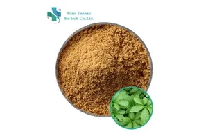 4-tert-Butyl-2,6-diaminoanisole