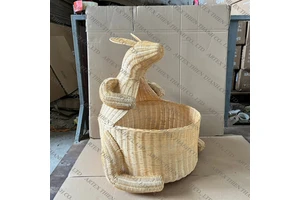 6-(4-苄基氨基-3-硝基苯基)-5-甲基-2,3,4,5-四氢哒嗪-3-酮