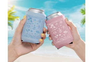 N-[(9H-芴-9-基甲氧基)羰基]-L-谷氨酸 1-[[4-[[1-(4,4-二甲基-2,6-二氧代环己亚基)-3-甲基丁基]氨基]苯基]甲基]酯
